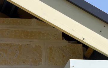 soffit repair Irish Town